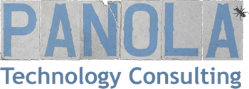 Panola Technology Consulting -